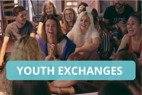 Youth exchanges